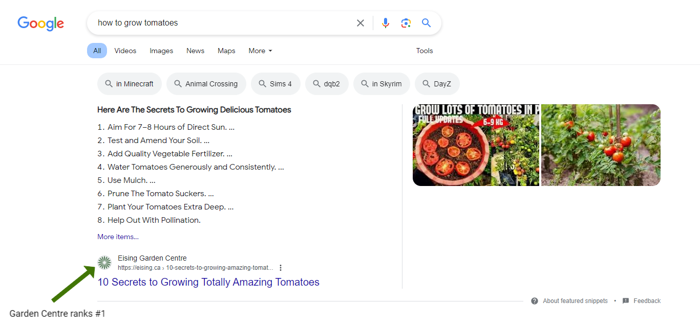 A garden centre ranks #1 for the search term "how to grow tomatoes" (In Canada)